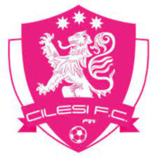 https://img.chanzongkanxin.com/img/football/team/7aa0eae9d284e6aab302a00cb5107481.png