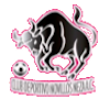 https://img.chanzongkanxin.com/img/football/team/97c3ef30cac48cadff97605e387feefa.png